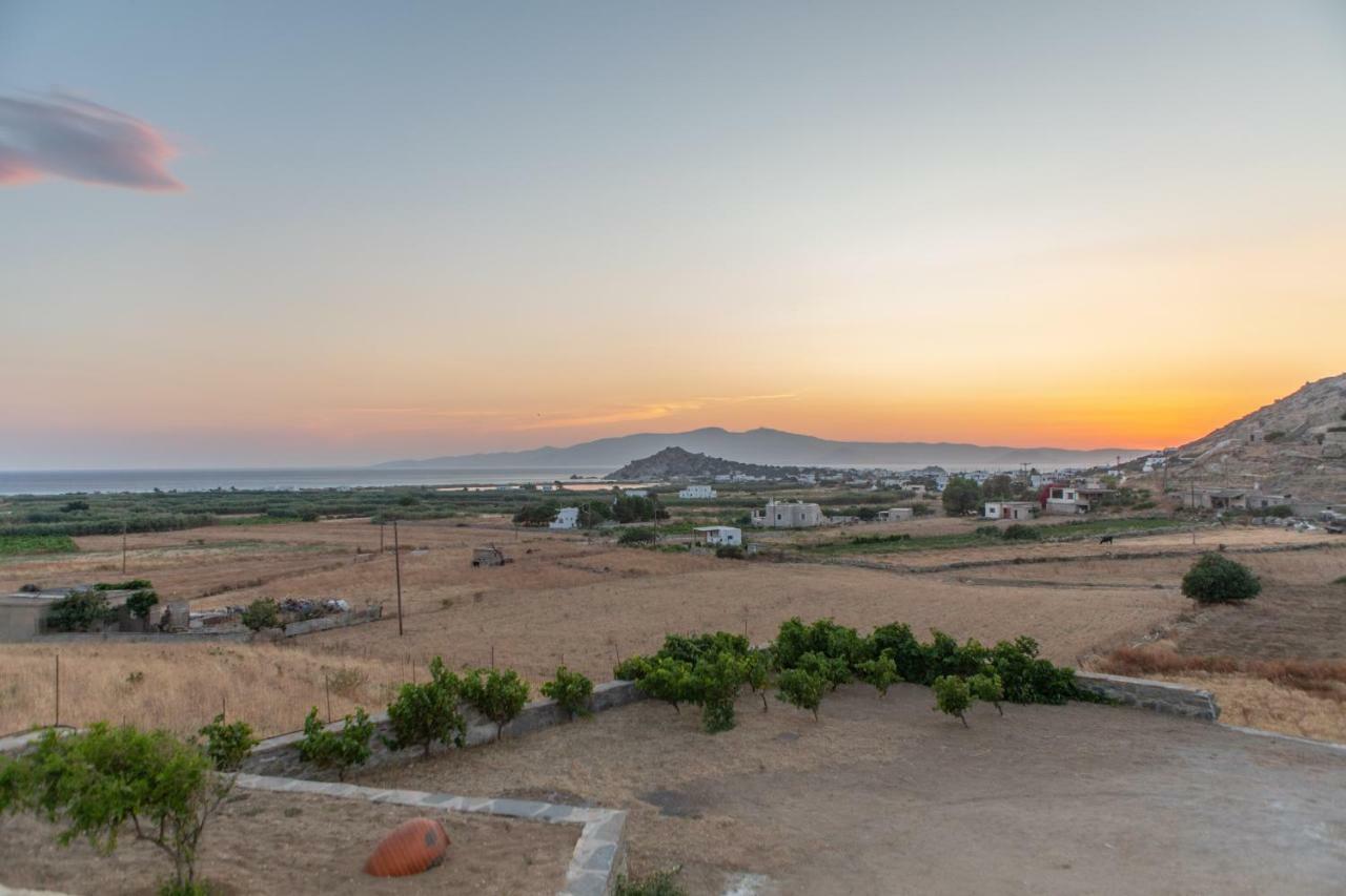 Naxian Pearl Appartement Mikri Vigla Buitenkant foto